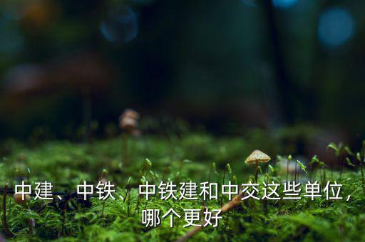 中建、中鐵、中鐵建和中交這些單位，哪個更好