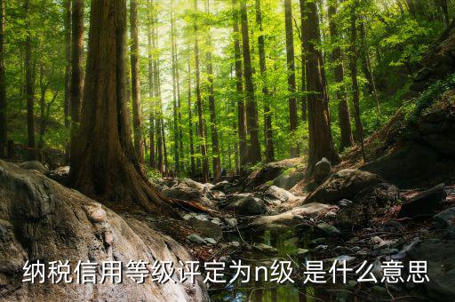 國稅信用級(jí)別是什么，納稅信用等級(jí)評(píng)定為n級(jí) 是什么意思