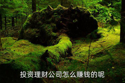 財(cái)牛投資靠什么賺錢，投資理財(cái)公司靠什么賺錢