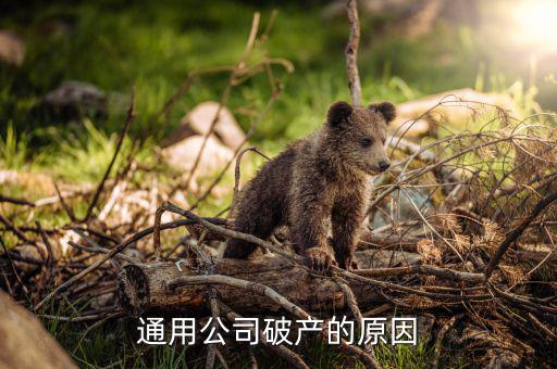 美國(guó)通用公司為什么會(huì)破產(chǎn)，美國(guó)通用汽車(chē)集團(tuán)為什么會(huì)破產(chǎn)
