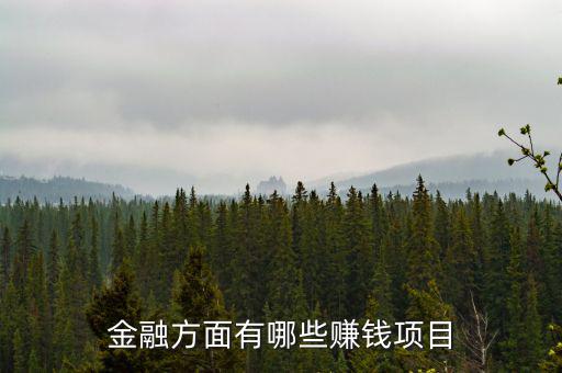 金融里什么賺錢，金融方面有哪些賺錢項(xiàng)目