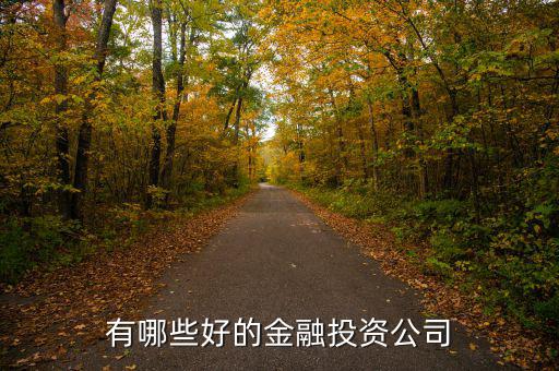 什么公司可以投資，我有20萬(wàn)資金請(qǐng)問(wèn)可以開(kāi)什么公司或者有什么項(xiàng)目可以投資的