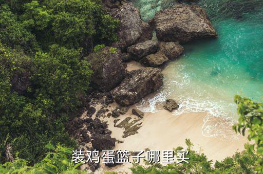 裝雞蛋用什么籃子最好，裝雞蛋籃子哪里買
